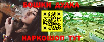 гашик Гусь-Хрустальный