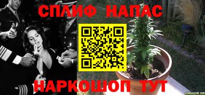 гашик Гусь-Хрустальный