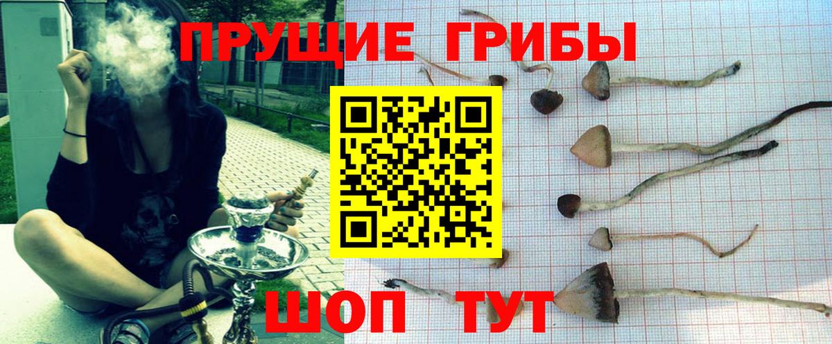 Псилоцибиновые грибы Psilocybe Нефтекамск